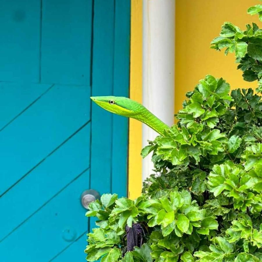Casa Marbella Villa Tortuguero Luaran gambar